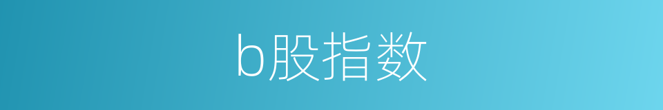 b股指数的同义词