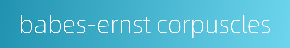 babes-ernst corpuscles的同义词