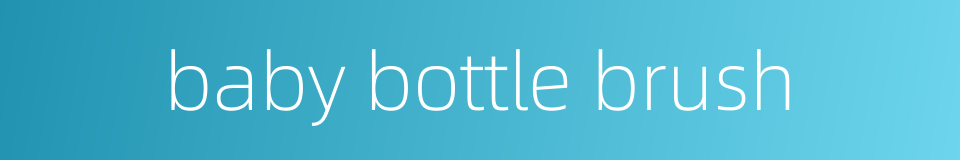 baby bottle brush的同义词