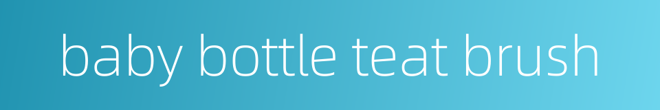 baby bottle teat brush的同义词