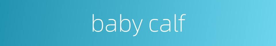 baby calf的同义词