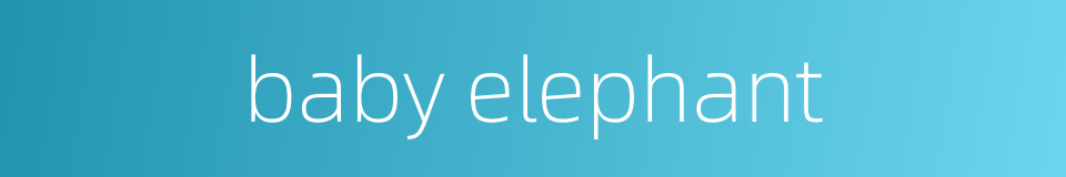 baby elephant的同义词