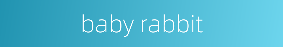 baby rabbit的同义词
