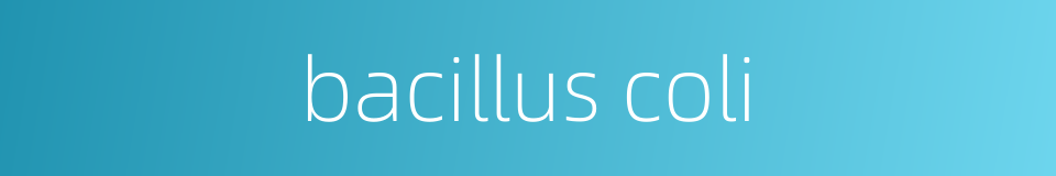 bacillus coli的同义词