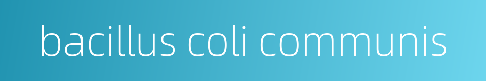 bacillus coli communis的同义词