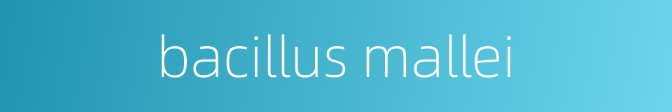 bacillus mallei的同义词