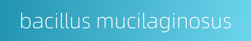 bacillus mucilaginosus的同义词