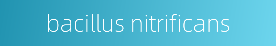bacillus nitrificans的同义词
