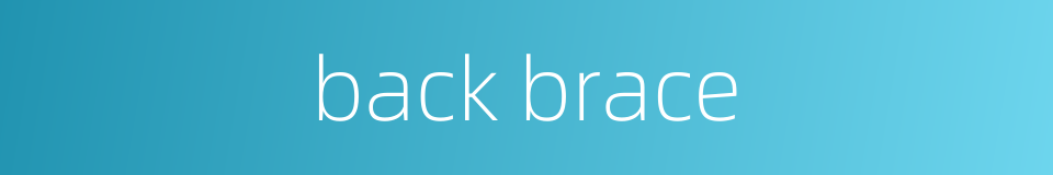 back brace的同义词