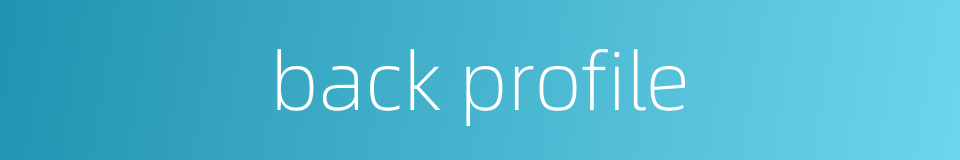 back profile的同义词