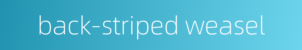 back-striped weasel的同义词