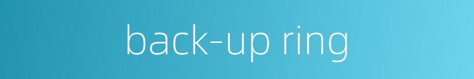 back-up ring的同义词
