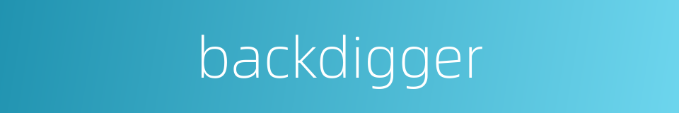 backdigger的同义词