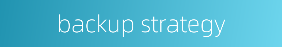 backup strategy的同义词