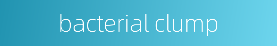 bacterial clump的同义词