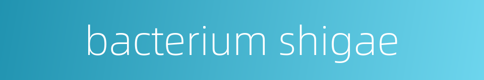 bacterium shigae的同义词