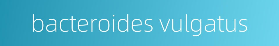 bacteroides vulgatus的同义词