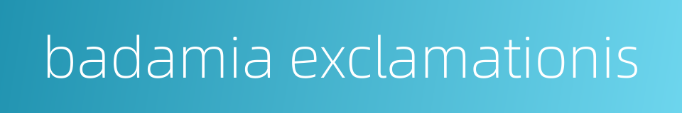 badamia exclamationis的同义词