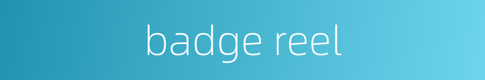 badge reel的同义词