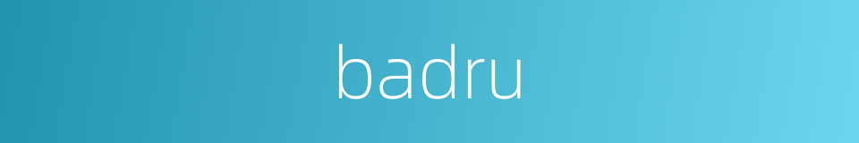 badru的同义词