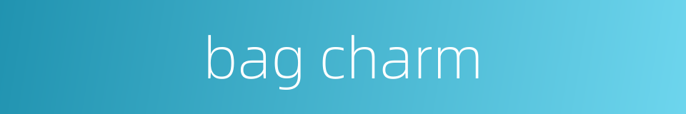 bag charm的同义词