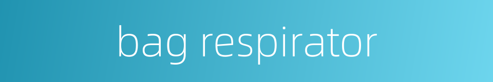 bag respirator的同义词