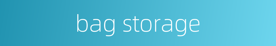 bag storage的同义词