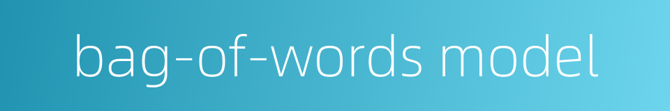 bag-of-words model的同义词