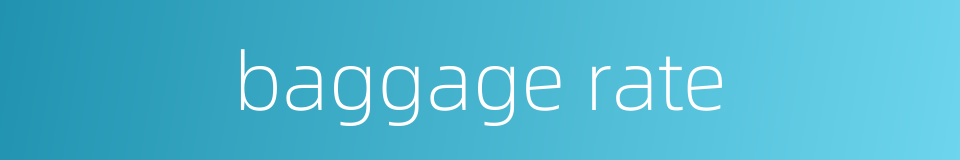 baggage rate的同义词