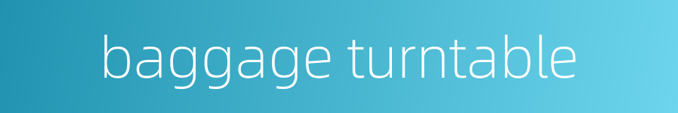 baggage turntable的同义词