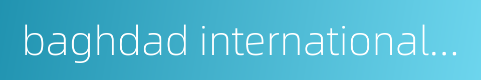 baghdad international airport的同义词