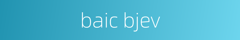 baic bjev的同义词