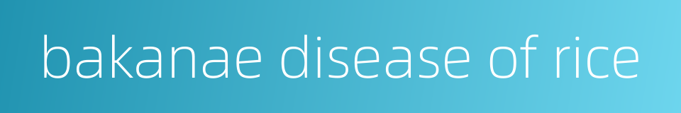 bakanae disease of rice的同义词