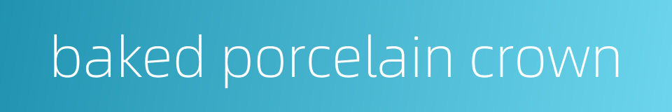 baked porcelain crown的同义词