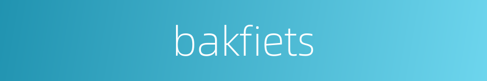 bakfiets的同义词