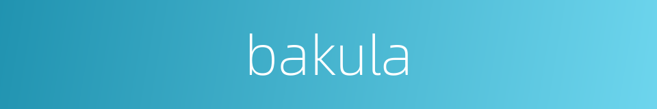 bakula的同义词