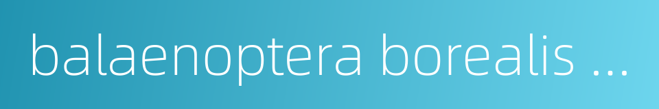 balaenoptera borealis lesson的同义词