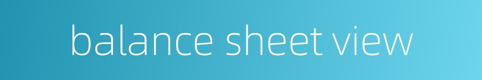 balance sheet view的同义词