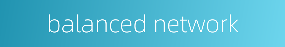 balanced network的同义词