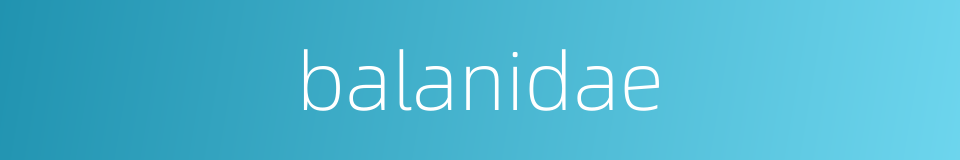 balanidae的同义词