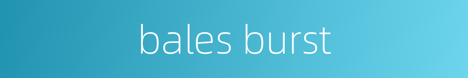 bales burst的同义词