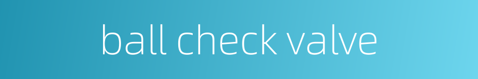 ball check valve的同义词