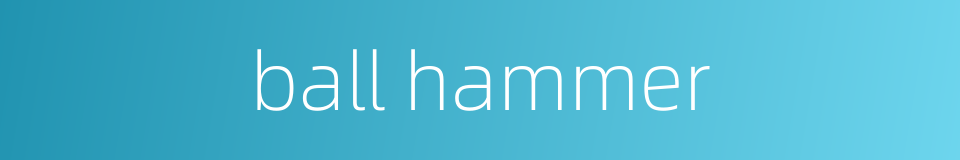 ball hammer的同义词