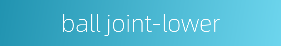 ball joint-lower的同义词
