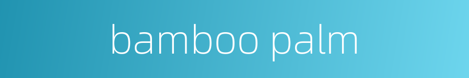 bamboo palm的同义词