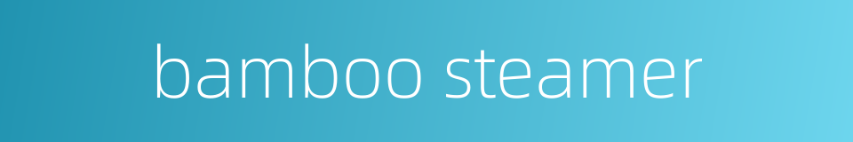 bamboo steamer的同义词