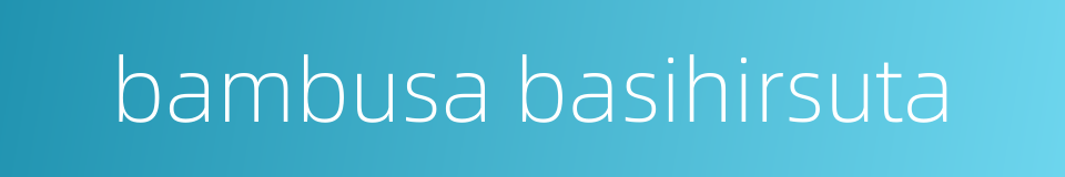 bambusa basihirsuta的同义词