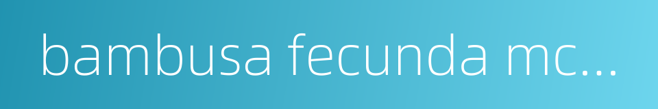 bambusa fecunda mcclure的同义词