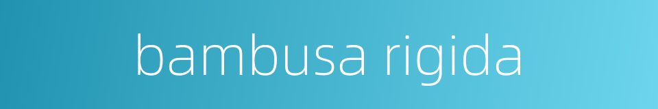 bambusa rigida的同义词
