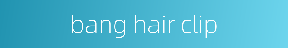 bang hair clip的同义词